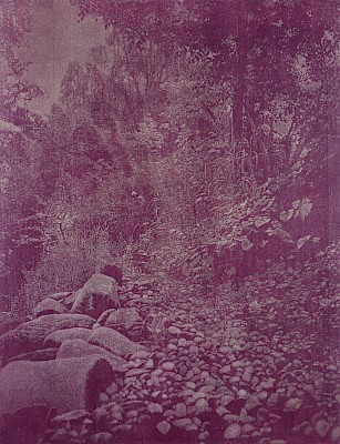 Franz Gertsch (Morenges 1930-2022 Riggisberg), Rüschegg, 1988-1989, gravure sur
bois sur papier japon Kumohadamashi fabriqué par Heizaburo Iwano, 234 x 181 cm
(image), 276 x 217 cm (support) © Franz Gertsch AG

Crédit photographique: Fotostudio Bartsch, Karen Bartsch, Berlin