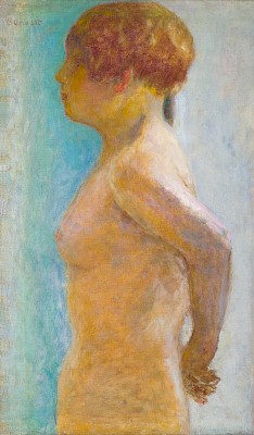 Pierre Bonnard, Torse de femme de profil, vers 1918, huile sur toile, 61,5 x 37
cm © Fondation Jean et Suzanne Planque, déposée au Musée Jenisch Vevey (Suisse).
Photo : Alberto Ricci, Paris.