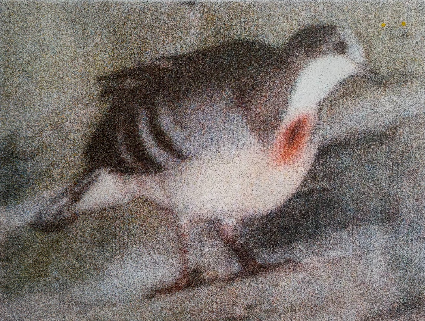 Eliot Möwes (Lausanne *1997), Dolchstichtaube [Gallicolombe poignardée], 2026,
Spray acrylique sur toile polyester, 50 x 70 cm © Eliot Möwes