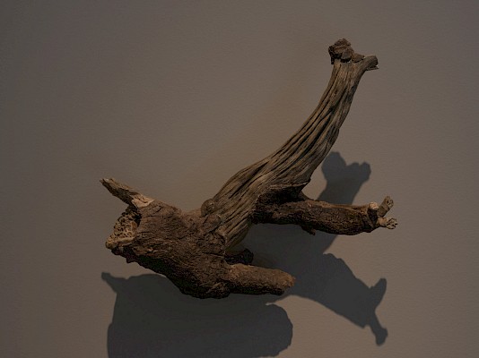 Photo : Julien Gremaud 