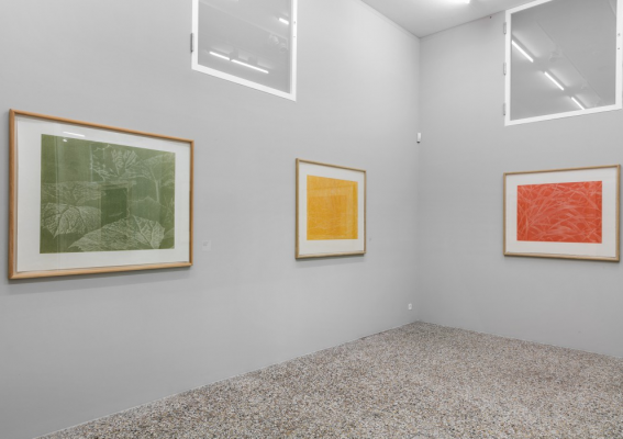 Vue de l’exposition. Photo : Julien Gremaud