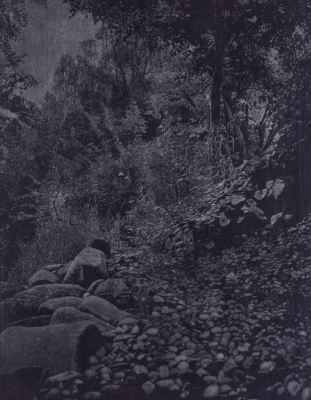 Rüschegg I, 1988-1989, xylographie, épreuve en indigo nuit noire, sur papier
japon. Musée Jenisch Vevey, dépôt de collection particulière