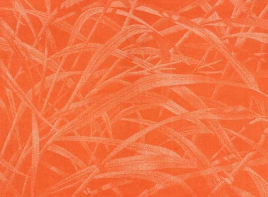 Bagatelle III · Gräser [Herbes], 2003, xylographie, épreuve en rouge orange, sur
papier japon. Collection de l’artiste