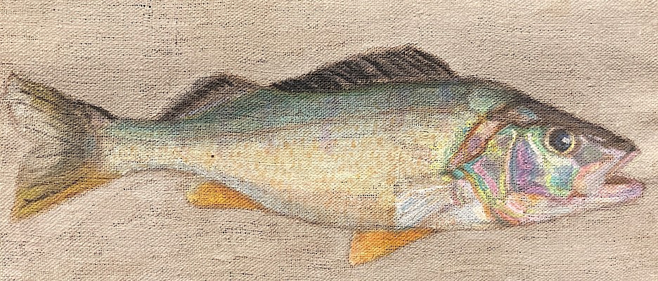 Abraham Hermanjat, Un poisson (étude)