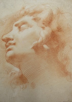 École italienne (Lombardie?), XVIIe siècle , Tête d’homme regardant vers le
haut, de profil à gauche, d’après le buste d’Alexandre mourant, non daté,
sanguine, craie blanche et estompe sur papier vergé beige clair. Musée Jenisch
Vevey, collection particulière